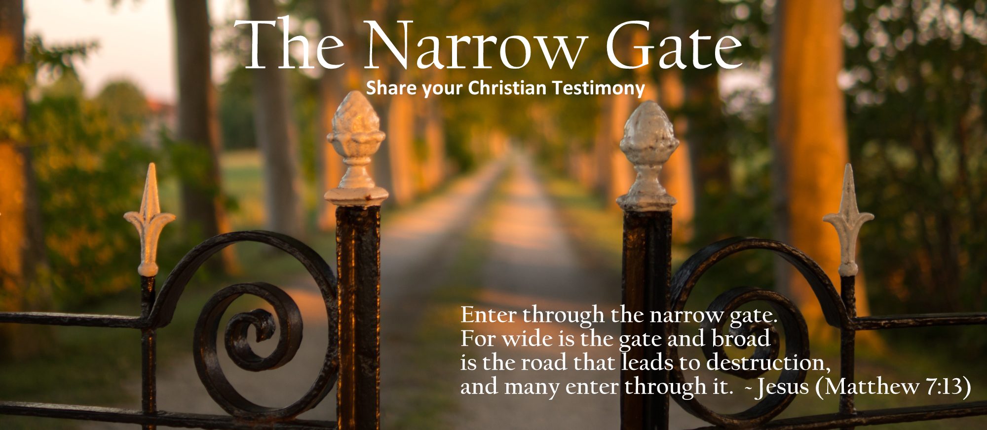 about-the-narrow-gate-the-narrow-gate